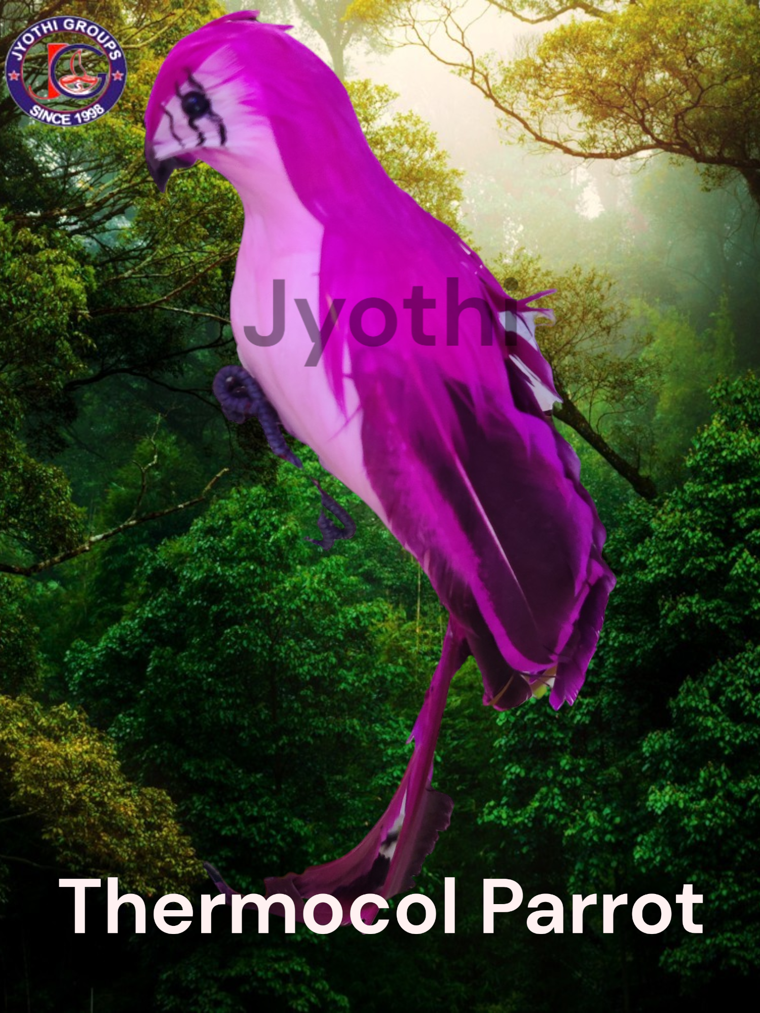 gallery img